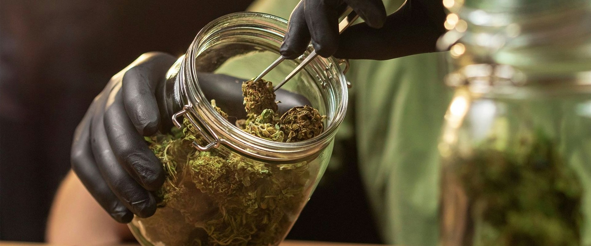 Bereiche der CBD-Forschung in der Schweiz, die mehr Studien benötigen: Ein umfassender Überblick