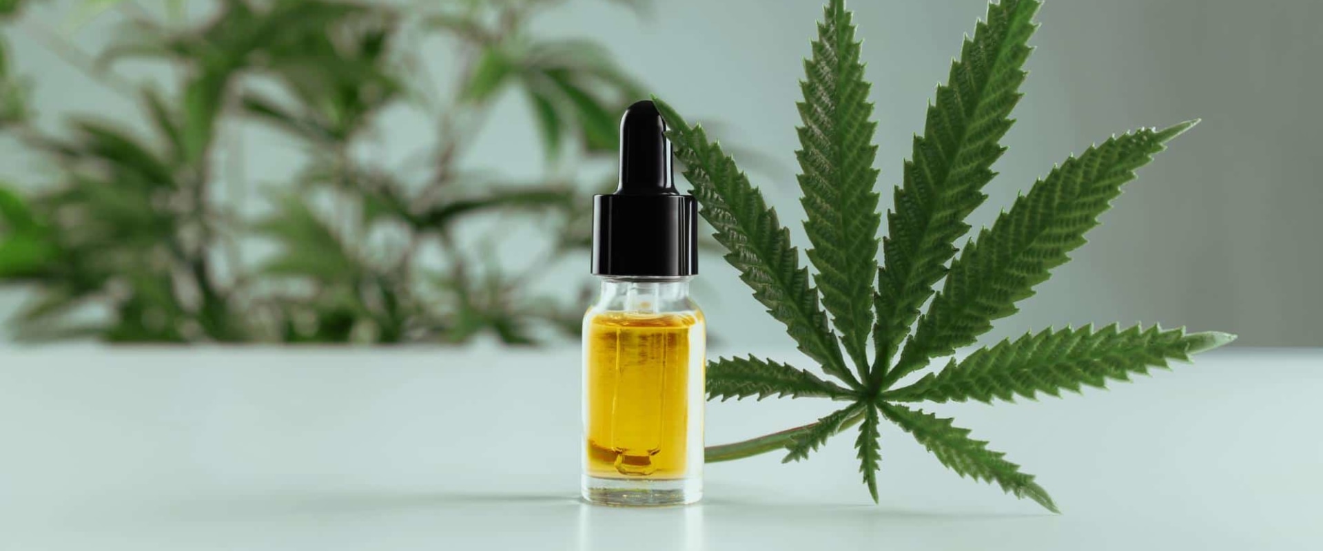 Die Vor- und Nachteile von CBD-Lebensmitteln in der Schweiz: Eine umfassende Analyse