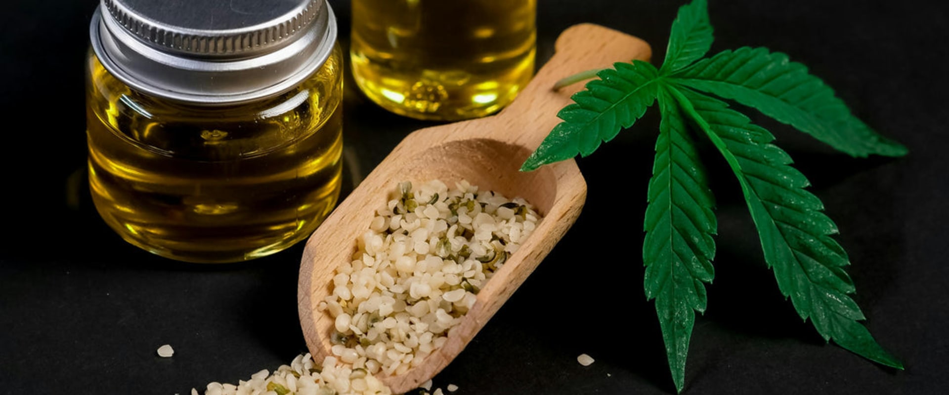 Schmerztherapie bei Haustieren mit CBD: Ein umfassender Leitfaden zum Verständnis der Vorteile und der Rechtmäßigkeit in der Schweiz