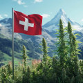 Die Zukunft der CBD-Legalität in der Schweiz