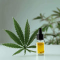 Die Vor- und Nachteile von CBD-Lebensmitteln: Untersuchung der Vor- und Nachteile
