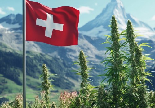 Die Zukunft der CBD-Legalität in der Schweiz