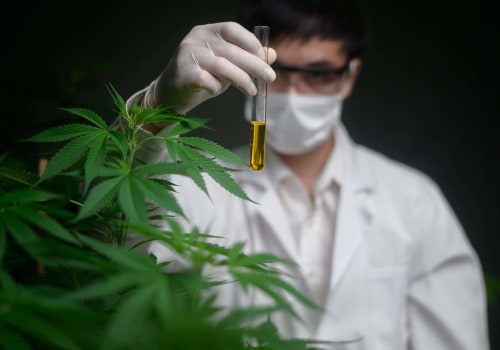 Die langfristigen Auswirkungen der Verwendung von CBD