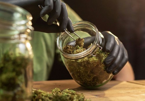 Bereiche der CBD-Forschung, die mehr Studien benötigen: Ein umfassender Überblick