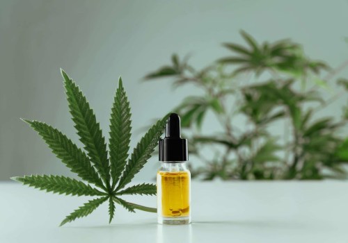 Die Vor- und Nachteile von CBD-Lebensmitteln: Untersuchung der Vor- und Nachteile